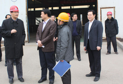 泰安市市长王云鹏,副市长辛显明等领导来我公司考察指导工作